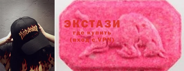 шишки Инсар