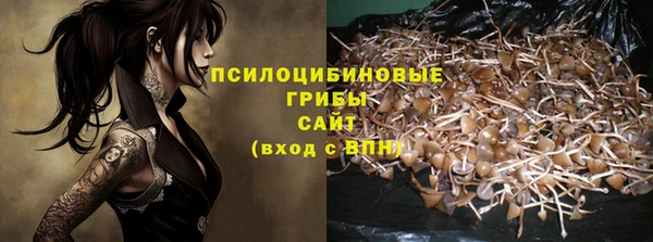 шишки Инсар