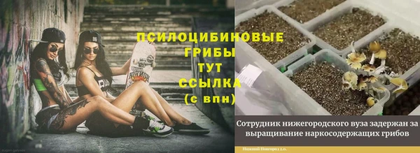 гидропоника Балабаново