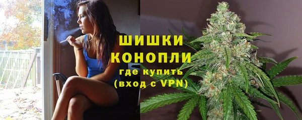 мяу мяу мука Ессентукская