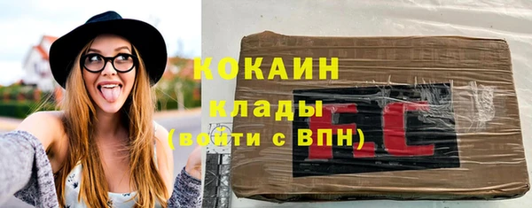 шишки Новосибирск
